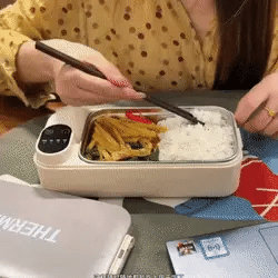 A removable stainless steel tray