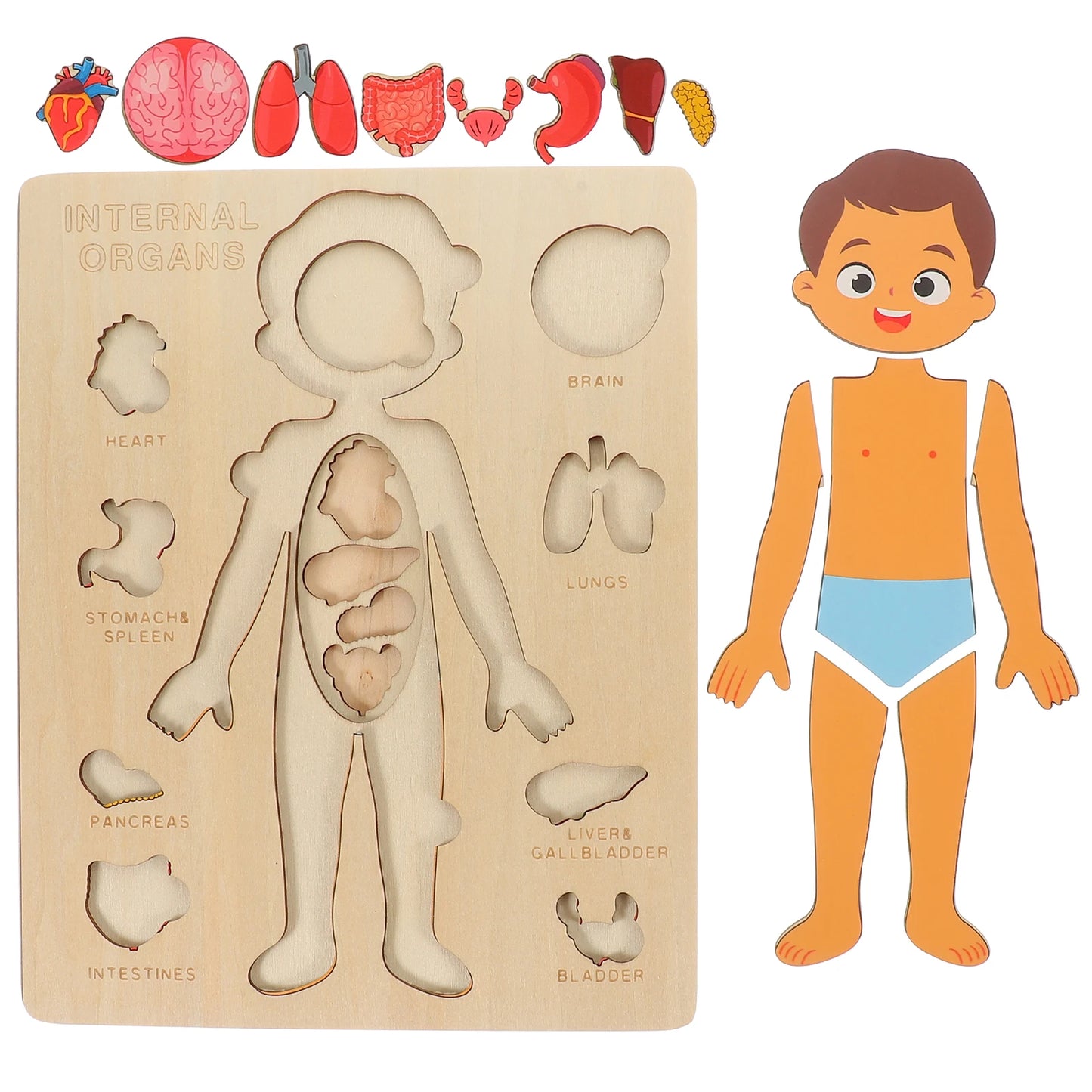 Montessori Human Body Puzzle for Kids