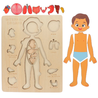 Montessori Human Body Puzzle for Kids