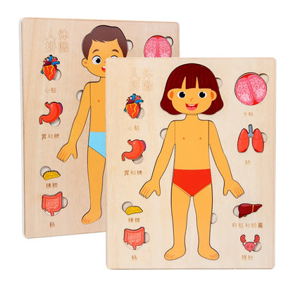 Montessori Human Body Puzzle for Kids