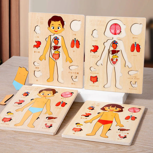 Montessori Human Body Puzzle for Kids