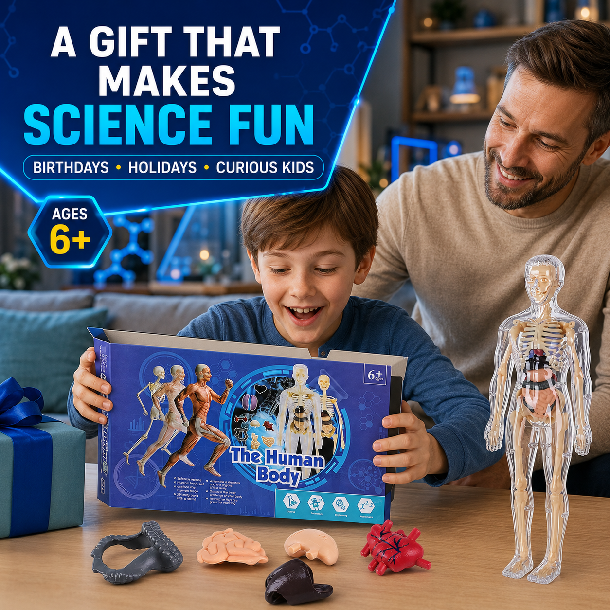Human Body Model for Kids