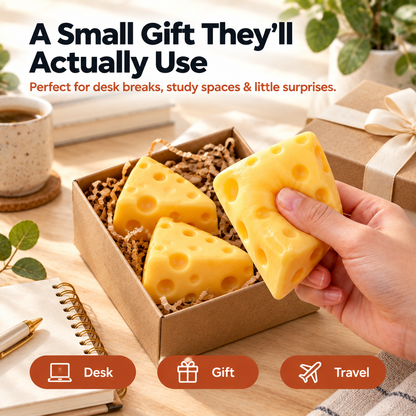 Realistic Cheese Squishy - lifestyle and gifting