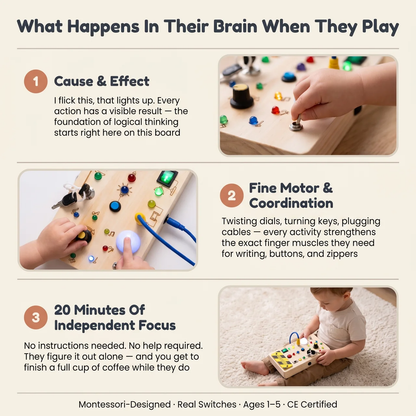 Elite Montessori Switch Board — Sensory Light Switch Toy for Toddlers 1-3